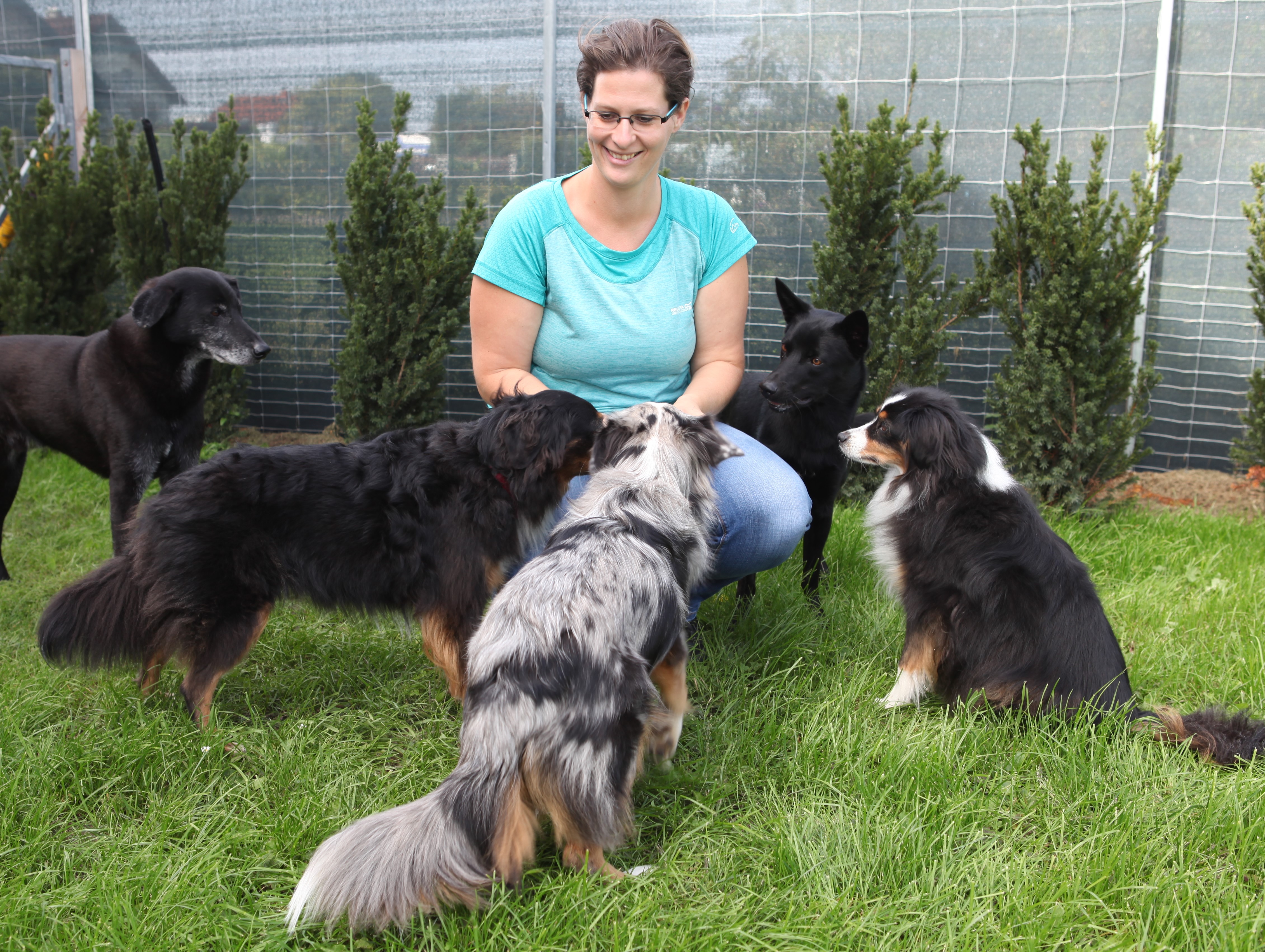 Infoabend “Die Entscheidung für einen Hund – und dann?”