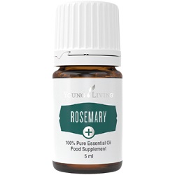 Young Living ätherisches Plus Öl - Rosemary