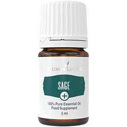 Young Living ätherisches Plus Öl - Sage / Salbei