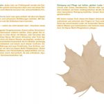 Uni Sapon Anwendertipps – Bild 5