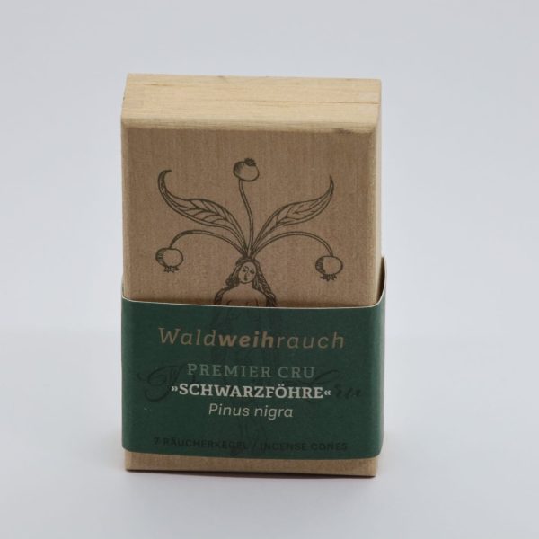Waldweihrauch Schwarzföhre – Bild 2